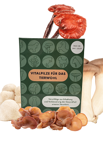 vitalpilzebuch